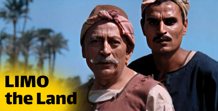 فیلم عربی زمین (the land)
